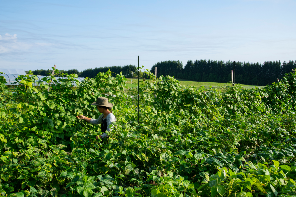 Regenerative Agriculture & Local Food - 350 Colorado