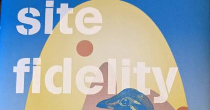 image of the cover of site fidelity by Claire Boyles